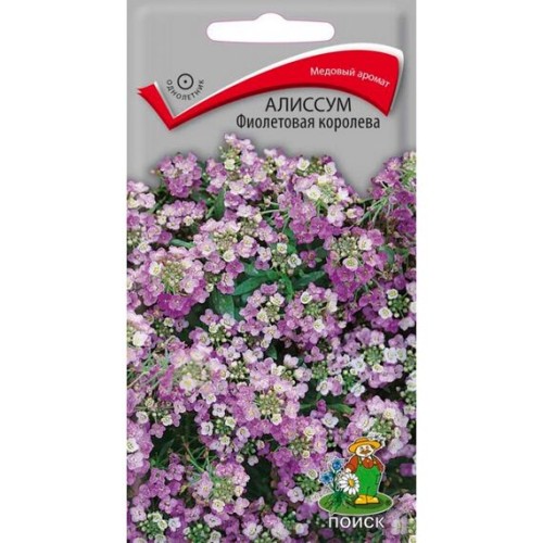 Алиссум Фиолетовая королева 0.3г (Поиск)