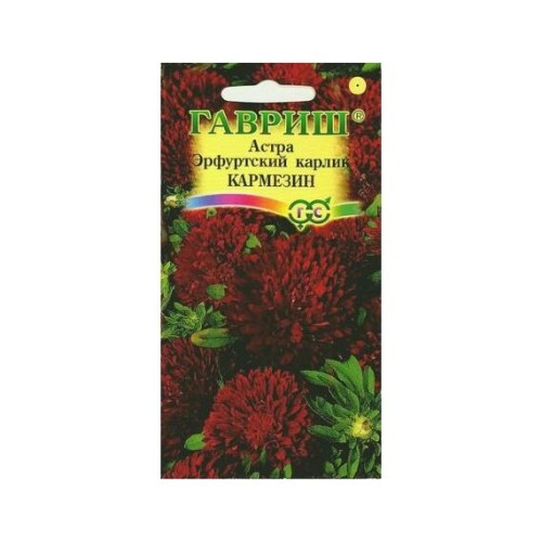 Астра Эрфуртский карлик Кармезин 0.3г (Гавриш)
