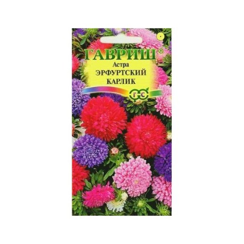 Астра Эрфуртский карлик смесь 0.3г (Гавриш)