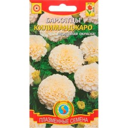 Бархатцы Килиманджаро 10шт (Плазмас)