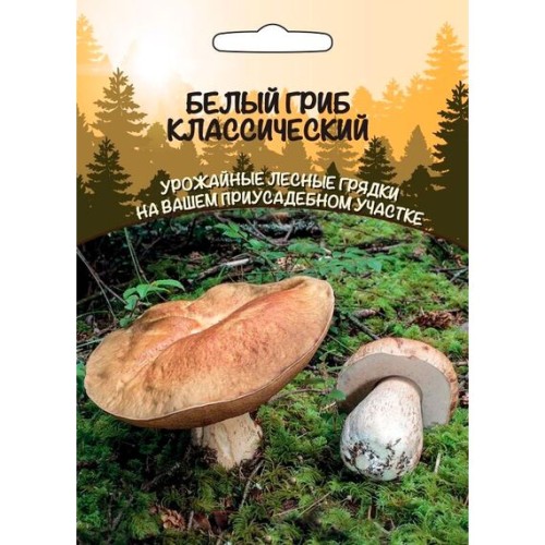 Мицелий Белый гриб Классический 30мл (Уральский дачник)