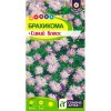 Брахикома Синий блеск 0.05г (Семена Алтая)