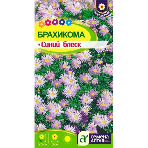 Брахикома Синий блеск 0.05г (Семена Алтая)