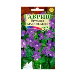 Броваллия великолепная Марине Белл 3шт (Гавриш)