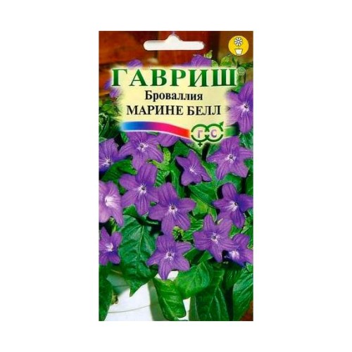 Броваллия великолепная Марине Белл 3шт (Гавриш)