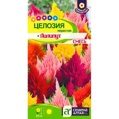 Целозия перистая Лилипут смесь 0.1г (Семена Алтая)