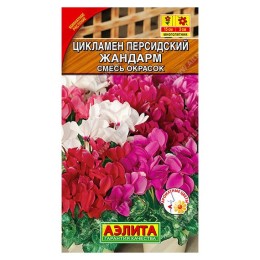 Цикламен персидский Жандарм смесь сортов 3шт (Аэлита)