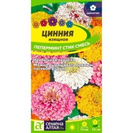 Цинния изящная Пеперминт Стик 0.2г (Семена Алтая)