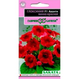 Глоксиния Аванти F1 винно-красная 5шт (Гавриш)