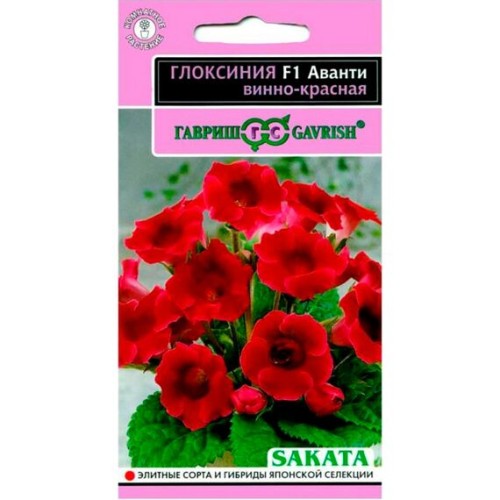 Глоксиния Аванти F1 винно-красная 5шт (Гавриш)