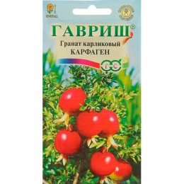 Гранат Карфаген 5шт (Гавриш)