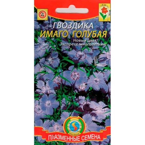 Гвоздика Имаго Голубая 0.05г (Плазмас)