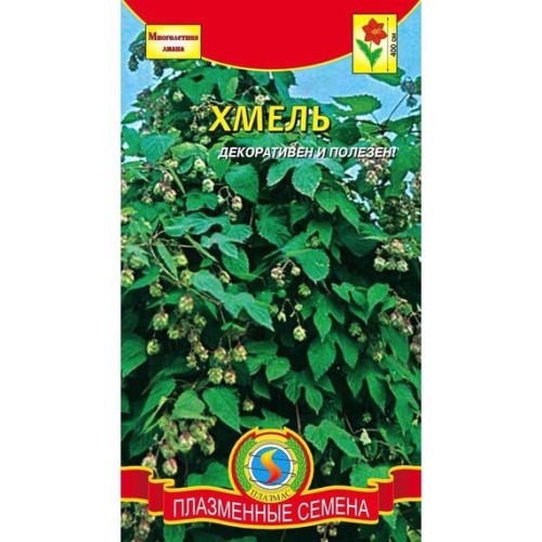 Хмель Лазающий 4шт (Плазмас)