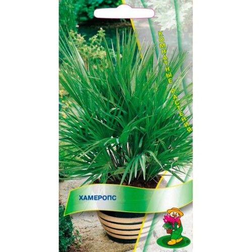 Хамеропс 2шт (Поиск)