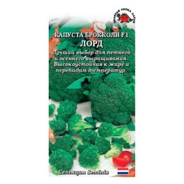 Капуста брокколи Лорд F1 8шт (Золотая сотка Алтая)