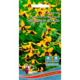 Клематис пильчатолистный Звездный дождь 10шт (Уральский дачник)