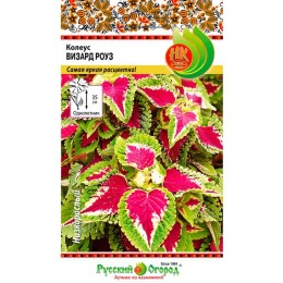 Колеус Визард Роуз 10шт (Русский огород)