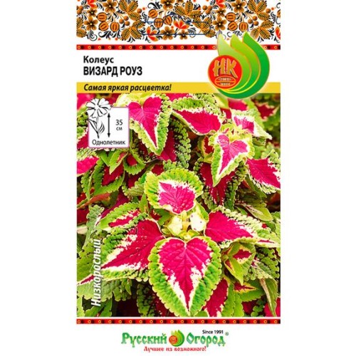 Колеус Визард Роуз 10шт (Русский огород)