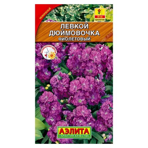Левкой Дюймовочка фиолетовый карликовый 0.1г (Аэлита)
