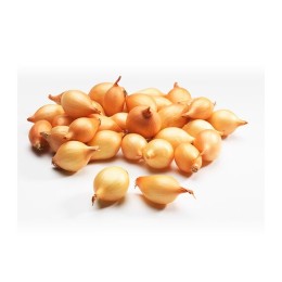 Лук репчатый севок Стурон 1кг (Россия)