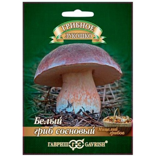 Мицелий Белый гриб сосновый "Грибное лукошко" 15мл (Гавриш)