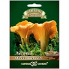 Мицелий Лисичка обыкновенная "Грибное лукошко" 15мл (Гавриш)