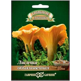 Мицелий Лисичка обыкновенная "Грибное лукошко" 15мл (Гавриш)