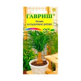 Нолина Бутылочное дерево 3шт (Гавриш)