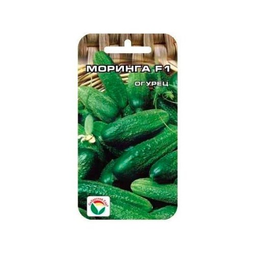 Огурец Моринга F1 7шт (Сибирский Сад)
