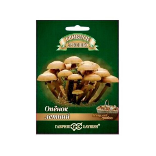 Мицелий Опёнок Летний "Грибное лукошко" 12шт (Гавриш)