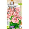 Пеларгония зональная Дивас Петтикоат F1 4шт (Семена Алтая)