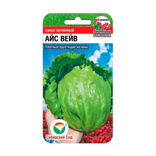Салат кочанный Айс Вейв 10шт (Сибирский Сад)