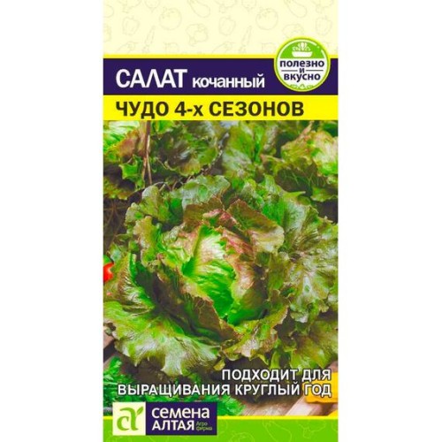 Салат кочанный Чудо 4-х сезонов 0.5г (Семена Алтая)
