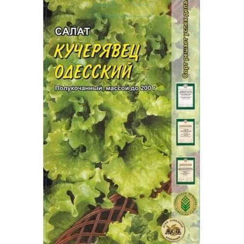 Салат полукочанный Кучерявец одесский  0.5г (АСК)