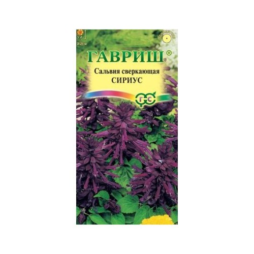 Сальвия Сириус 5шт (Гавриш)