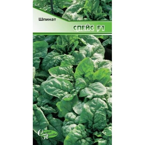 Шпинат Спейс F1 (Семена Приобья)