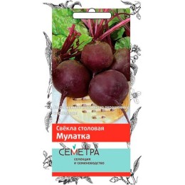 Свекла столовая Мулатка "Семетра" 3г (Поиск)