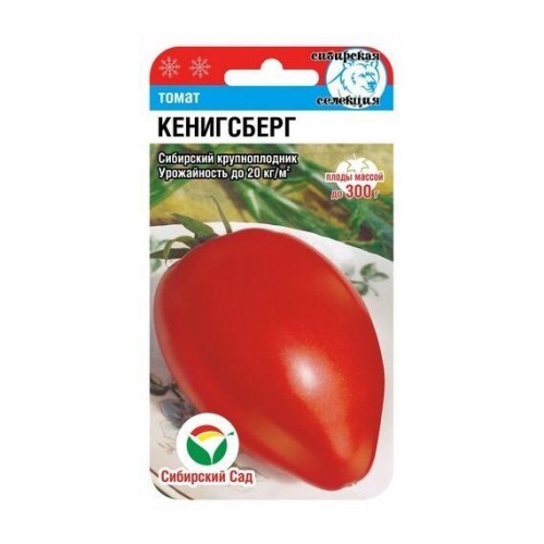 Томат Кенигсберг 20шт (Сибирский Сад)