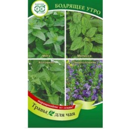 Бодрящее утро "Травы для чая" 0.3г (Гавриш)