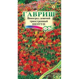 Виноград девичий Триостренный Нептун (Гавриш)