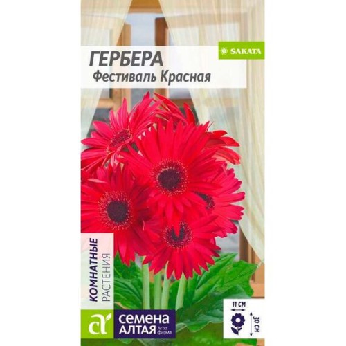 Гербера Фестиваль Красная 3шт (Семена Алтая)