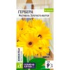 Гербера Фестиваль Золотисто-желтая 3шт (Семена Алтая)
