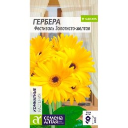 Гербера Фестиваль Золотисто-желтая 3шт (Семена Алтая)