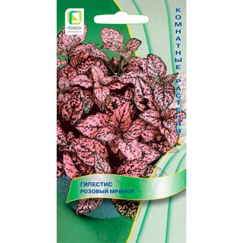 Гипестис Розовый мрамор 7шт (Поиск)