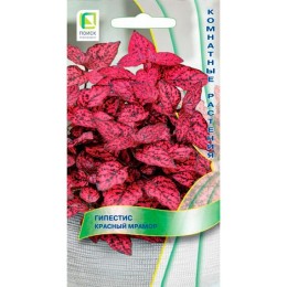 Гипестис Красный мрамор 7шт (Поиск)