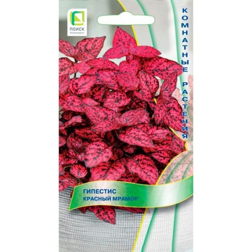 Гипестис Красный мрамор 7шт (Поиск)