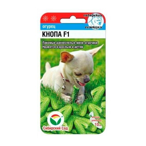 Огурец Кнопа F1 7шт (Сибирский Сад)