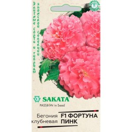 Бегония Фортуна F1 Пинк 4шт (Гавриш)