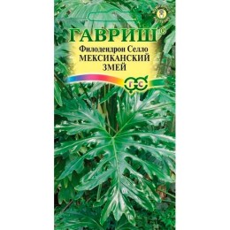 Филодендрон Селло Мексиканский змей 5шт (Гавриш)