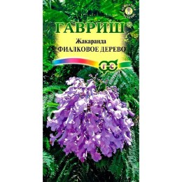 Жакаранда мимозолистная Фиалковое дерево 3шт (Гавриш)
